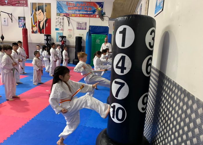 karate gradings